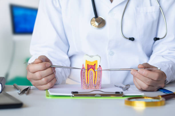 Best Emergency Root Canal Treatment in Ganado, TX